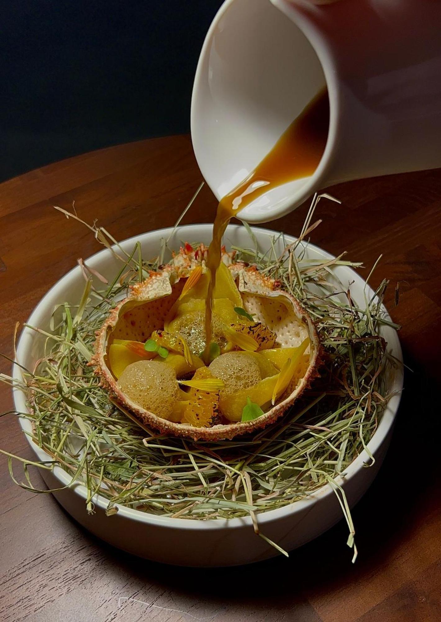 לה בוסקה Hotel Maison Pavlov - Restaurant & Spa - Bordeaux Bouscat מראה חיצוני תמונה